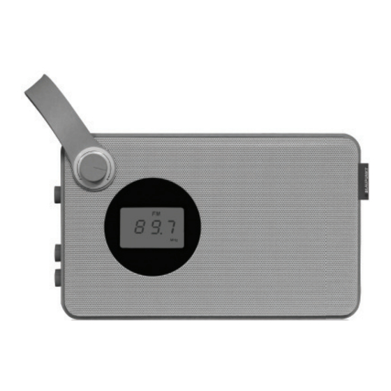 Blaupunkt RX 25 Bedienungsanleitung