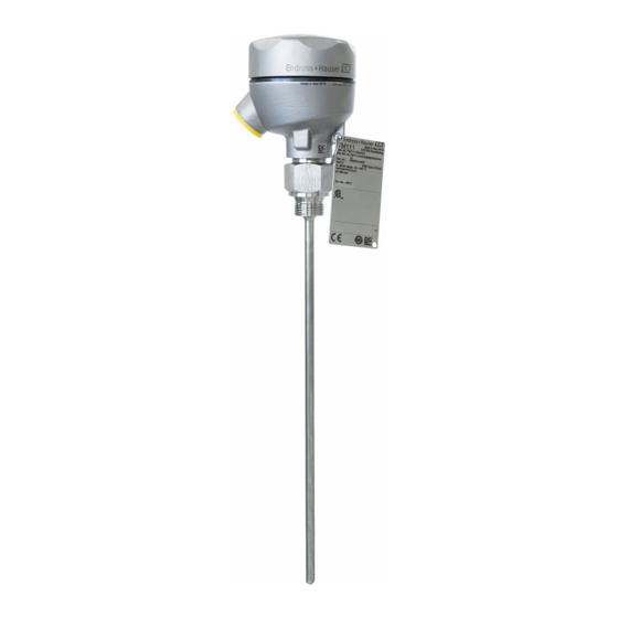 Endress+Hauser iTHERM ModuLine TM111 Technische Information