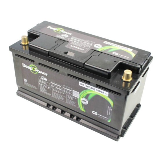 CS-Electronic CSX12100-BMS100CS Bedienungsanleitung