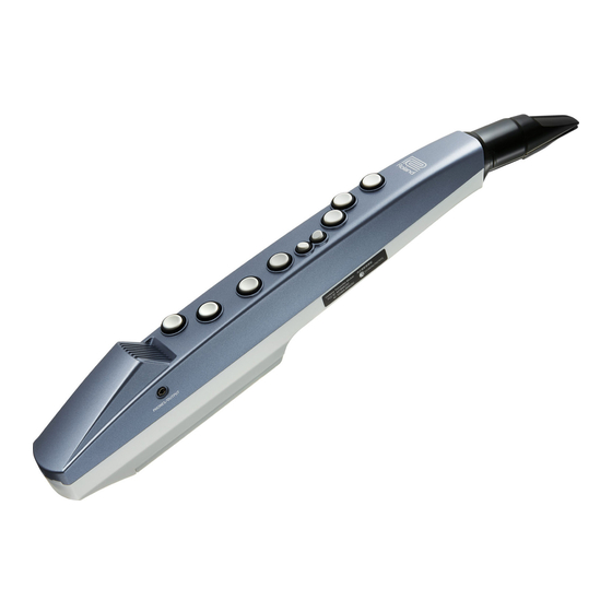 Roland Aerophone mini Bedienungsanleitung