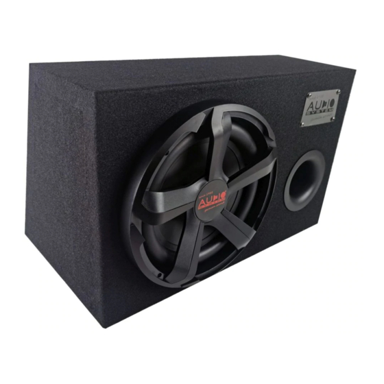Audio System CARBON 10 BR Anleitung