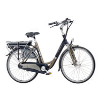 BATAVUS Intermezzo Easy 2009 Anleitung