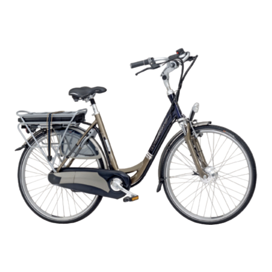 Batavus Intermezzo Easy 2009 Anleitung