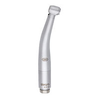 W&H alegra TE-95 BC Gebrauchsanweisung