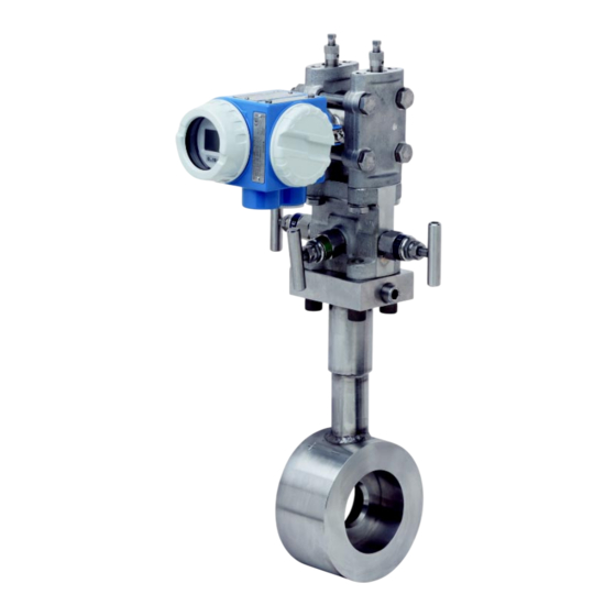 Endress+Hauser deltatop DPO 10 Technische Information