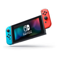 Nintendo Switch Lite Wichtige Informationen