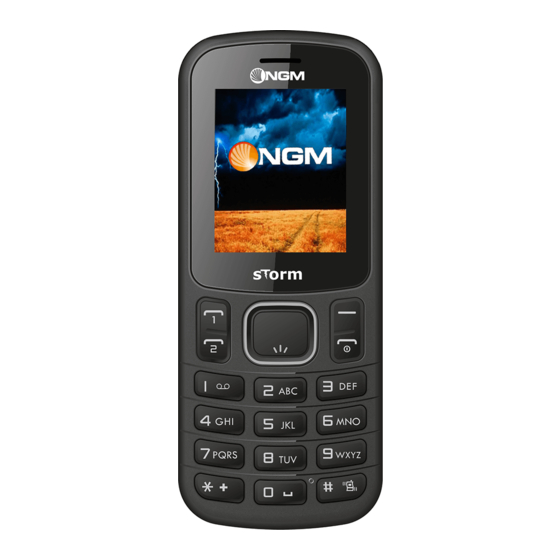 NGM sTorm Handbuch