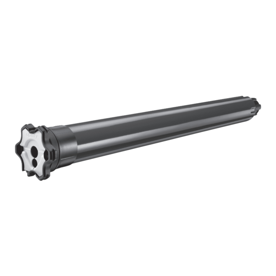 SOMFY S&SO-RS100 Schnellanleitung