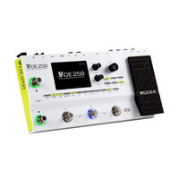 Mooer GE 250 Schnellanleitung