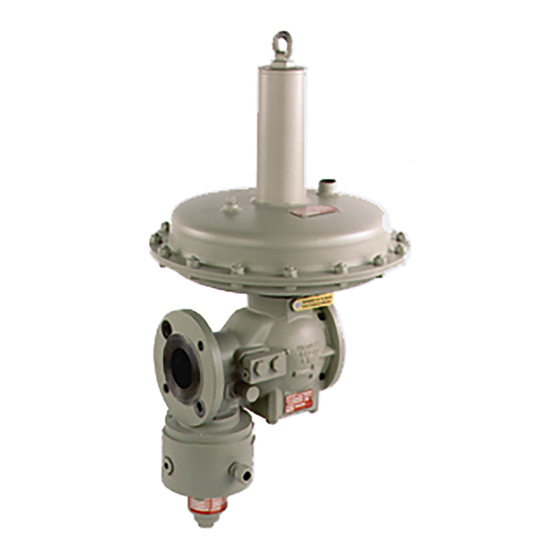 ITRON RR16-Serie Betriebsanleitung