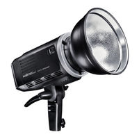 Walimex Pro LED2Go 60 Daylight Gebrauchsanleitung