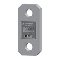 Tractel dynafor Industrial 1t Installations-, Gebrauchs- Und Wartungsanleitung