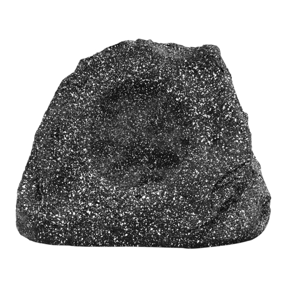 Pronomic SSP-1100 GR Bedienungsanleitung