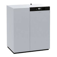 Viessmann VITOLIGNO 300-C Montageanleitung