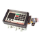 Messgeräte FMC Technologies MultiFlow Betriebsanleitung