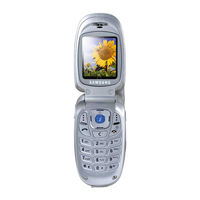 Samsung SGH-E300 Handbuch