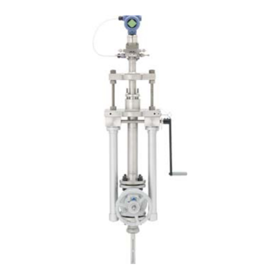 Emerson Rosemount 485 Annubar Kurzanleitung