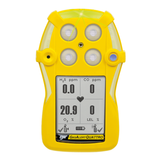BW Technologies GasAlertQuattro Kurzanleitung