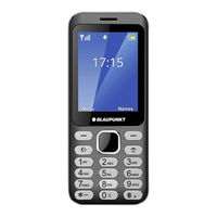 Blaupunkt FL 02 Anleitung Für Schnelleinstellung