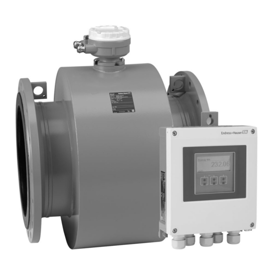 Endress+Hauser Proline Promag W 400 Einbauanleitung