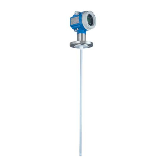 Endress+Hauser levelflex M FMP 41 C Bedienungsanleitung