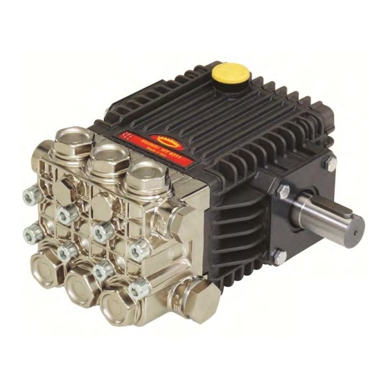Interpump Group HTS63 Serie Bedienungsanleitung