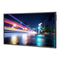 NEC MultiSync P703