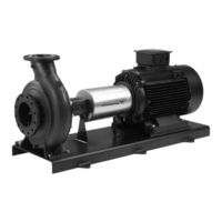 Grundfos NKG 100-65-250/238 H2-F-N-E-BQQE Montage- Und Betriebsanleitung