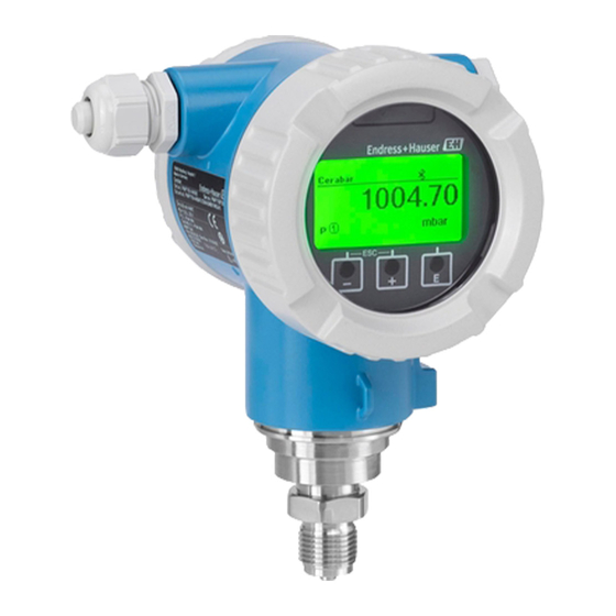 Endress+Hauser Cerabar PMP71B Betriebsanleitung