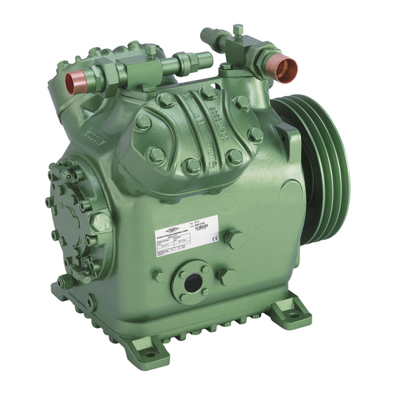 Bitzer 4H.2 Wartungsanleitung