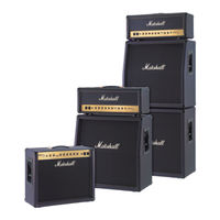 Marshall Amplification VintageModern 2466 Benutzerhandbuch