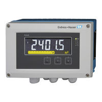 Endress+Hauser RIA46 Kurzanleitung
