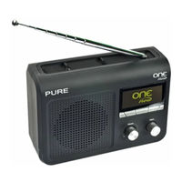 Pure One Flow Handbuch