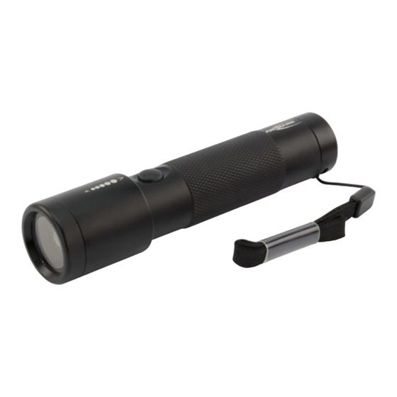 ANSMANN FUTURE T200F Bedienungsanleitung