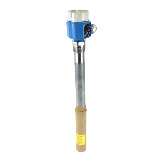 Endress+Hauser Soliphant M FTM51 Bedienungsanleitung