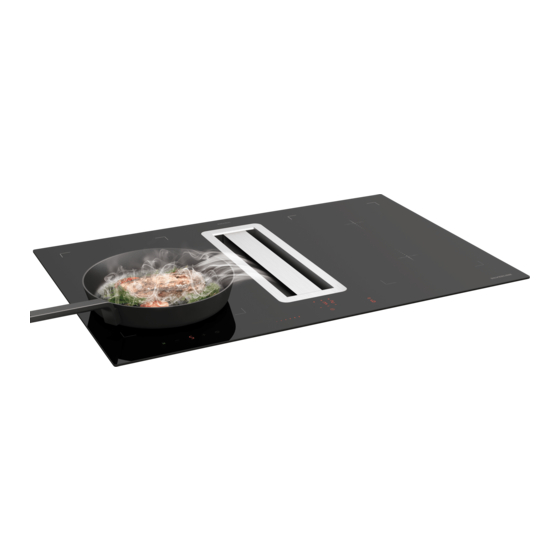 Silverline Flow-In Advanced Bedienungs- Und Montageanleitung