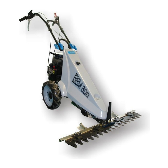 Gude GBM 800 BRIGGS & STRATTON Bedienungsanleitung