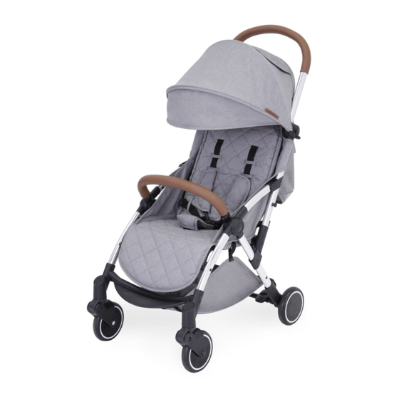 Ickle Bubba Globe Handbuch