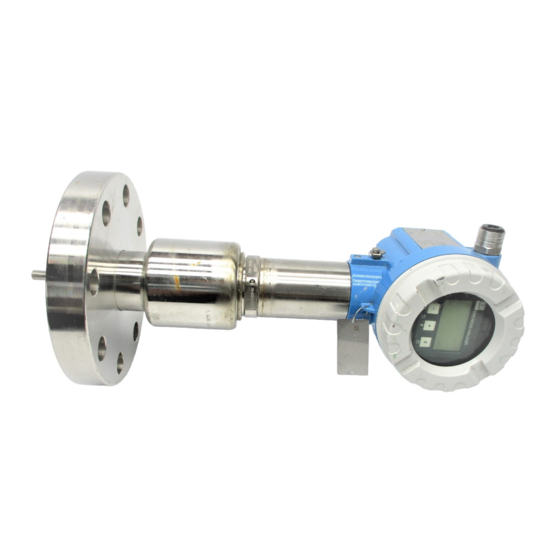Endress+Hauser Levelflex M FMP45 Bedienungsanleitung