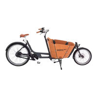 Babboe Mini Montageanleitung