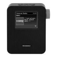 Blaupunkt PIB 100 Bedienungsanleitung