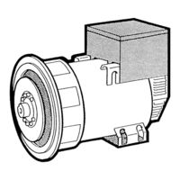 Mecc Alte ECO 31 3SN Betriebs- Und Wartungsanleitung