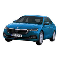Skoda 2019 OCTAVIA A8 Betriebsanleitung