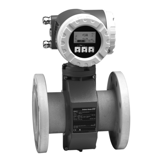 Endress+Hauser Proline Promag 55 PROFIBUS PA Betriebsanleitung