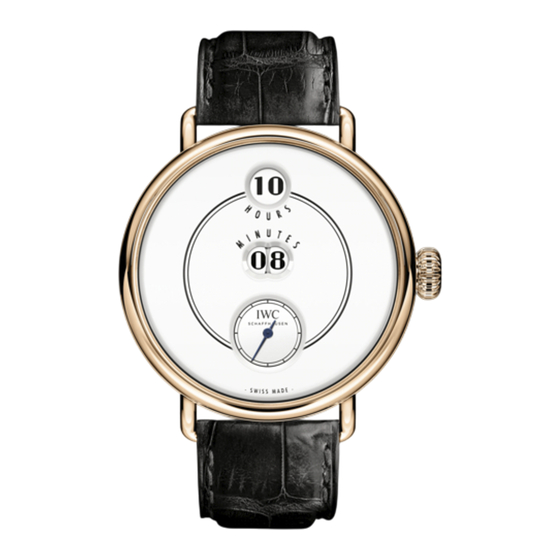 iwc TRIBUTE TO PALLWEBER Bedienungsanleitung