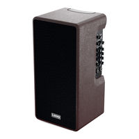 Laney A-DUO Acoustic Wichtige Sicherheitshinweise