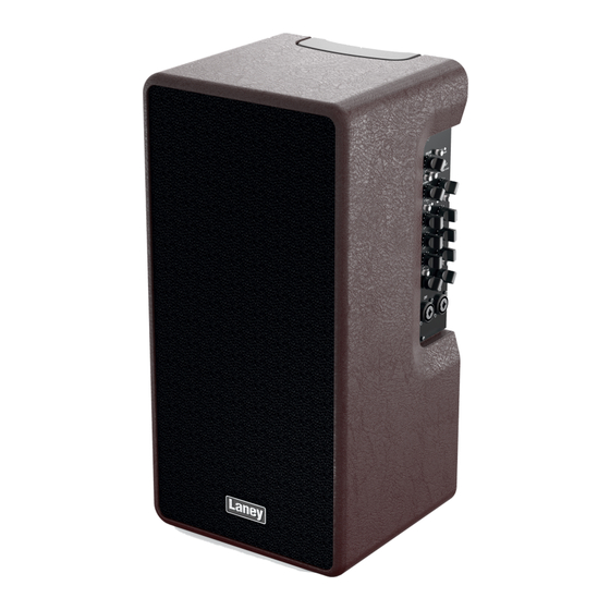 Laney A-DUO Acoustic Wichtige Sicherheitshinweise