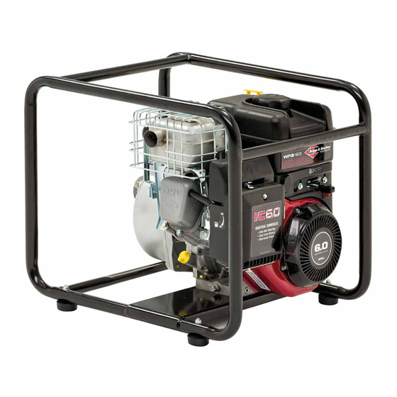 Briggs & Stratton WP2-60 Handbuch